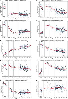Midkine: The Who, What, Where, and When of a Promising Neurotrophic Therapy for Perinatal Brain Injury